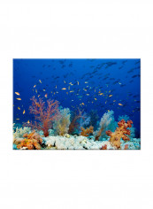 Underwater Canvas Painting Blue 70x50centimeter