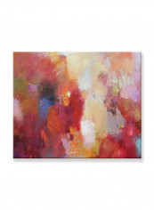 Abstract Painting Wall Art Canvas Red 70x50centimeter