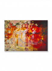 Abstract Painting Wall Art Canvas Red 70x50centimeter