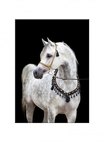 White Horse On Canvas Painting Black /White 50x70centimeter