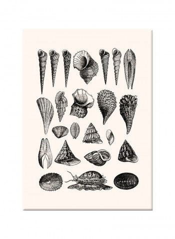 Sea Shells Sketch Artwork On Canvas Painting Black 50x70centimeter