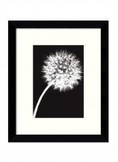 Dandelion Tilt Framed Wall Art Black/White