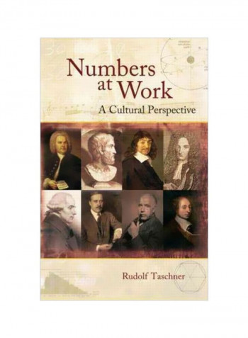 Numbers At Work: A Cultural Perspective Hardcover