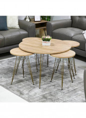 5-Piece Graham Coffee And Nesting Table Set Brown 241x267x241cm