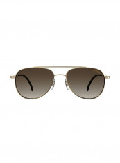 Aviator Sunglasses