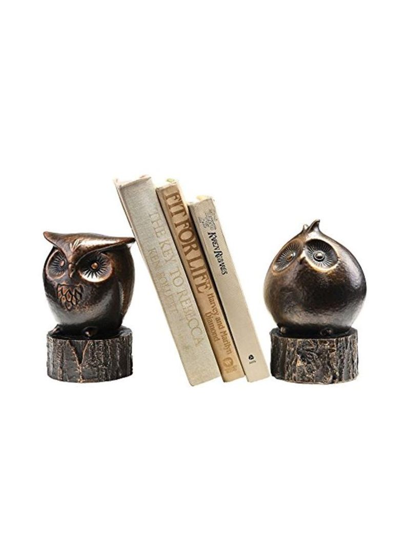 Pack Of 2 Wide Eyed Owl Bookends