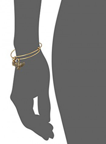 Rafaelian Gold Plated Spirit Of The Eagle Charm Expandable Charm Bracelet