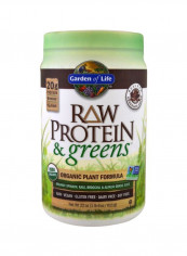 Raw Protein And Greens Organic Plant Formula - Real Raw Chocolate Cacao