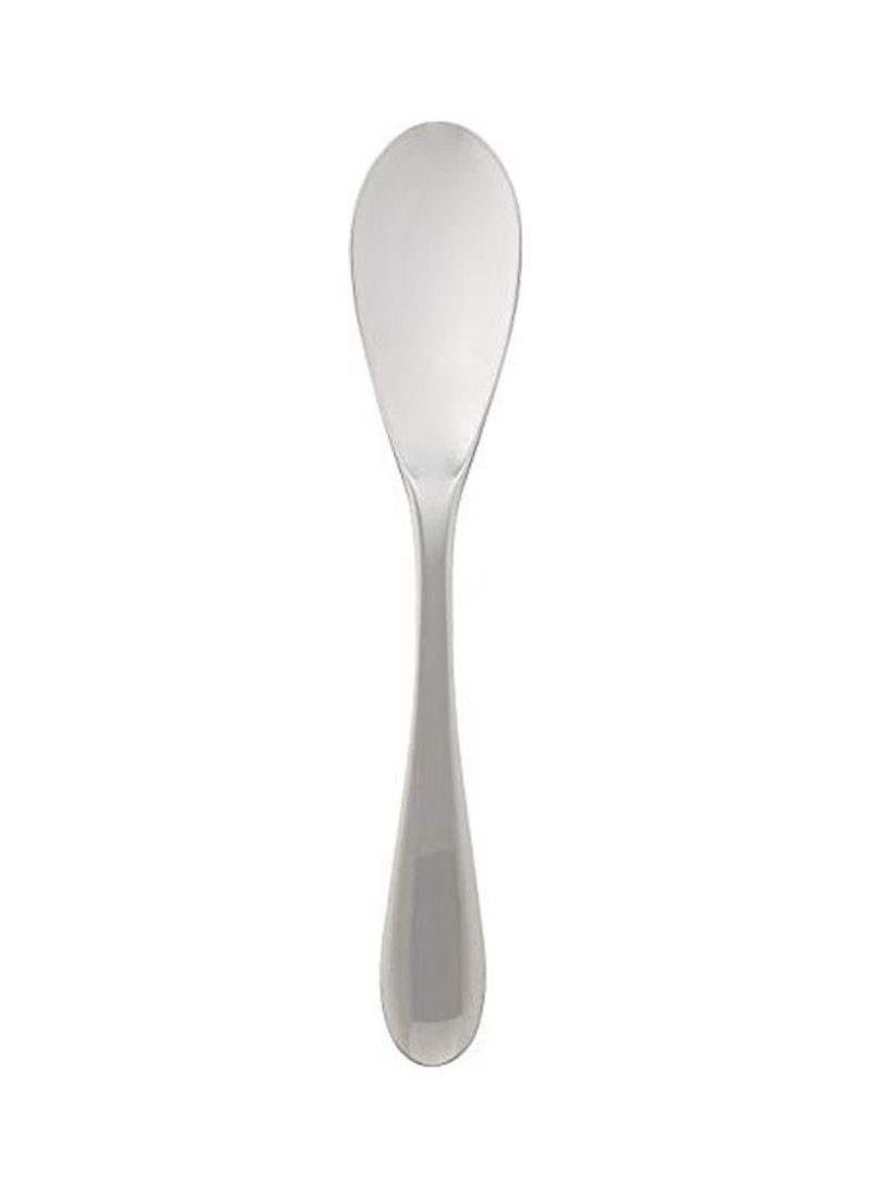 Stainless Steel Table Spoon Silver