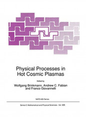 Physical Processes In Hot Cosmic Plasmas Paperback