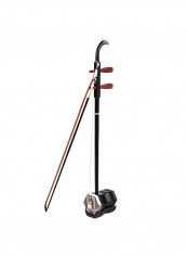 2-String Fiddle Violin
