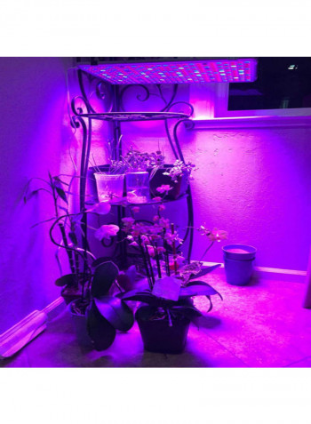 LED Multi Beam Spectrum Grow Light For Indoor Plants With External Switch Timer Multicolour