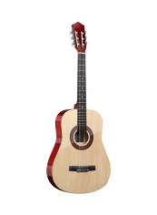 6 Strings Acoustic Guitar