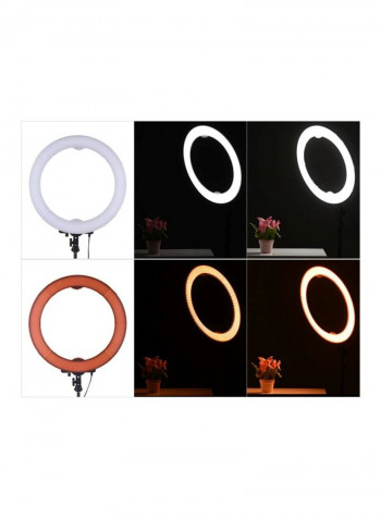 Ring Digital Photographic Studio Light 52.5x48.4x10.5cm White