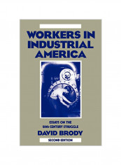 Workers In Industrial America: Essays On The Twentieth Century Struggle Paperback 2