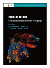 Building Bones Hardcover
