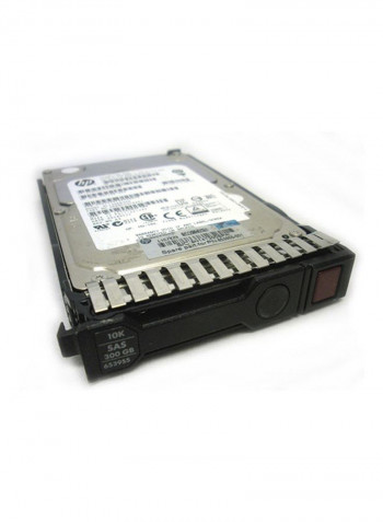 SAS 6G Hard Disk Drive 300GB Silver/Black