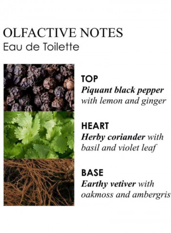 Black Pepper EDT 100ml
