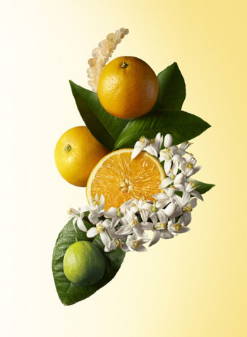 Orange And Bergamot EDT 100ml
