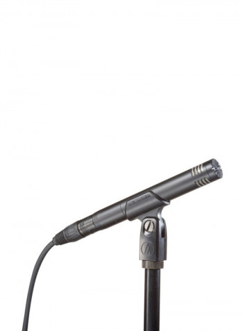 Cardioid Condenser End Address Microphone at2031 Grey