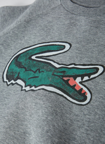 Kids Crocodile Graphic Fleece Sweatshirt Heather Wall Chine