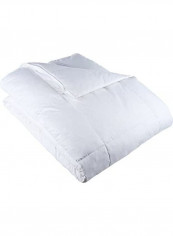 Goose Down Alternative Comforter Cotton White King