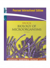 Brock Biology Of Microorganisms: International Edition Paperback 12th Edition