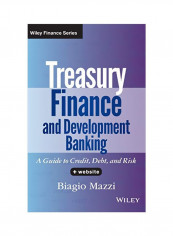 Treasury Finance And Development Banking: A Guide To Credit, Debt, And Risk Plus Website Hardcover