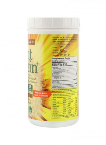 Plant Protein+ Powder - Vanilla