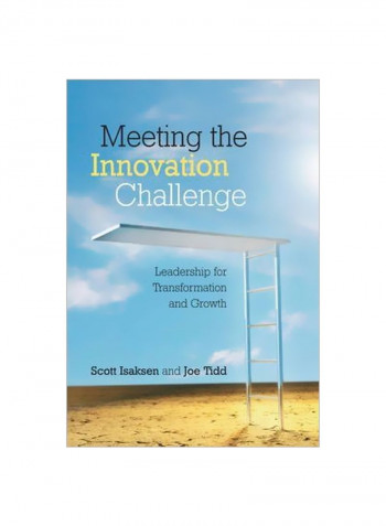 Meeting The Innovation Challenge : Leadership For Transformation And Growth Paperback