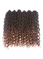 Pack Of 6 Crochet Braids Hair Extensions Black/Brown