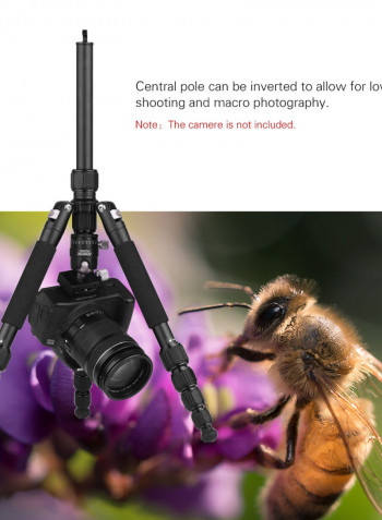Travel Camera Tripod Black