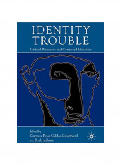 Identity Trouble: Critical Discourse And Contested Identities Paperback