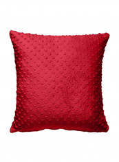 Pack Of 2 Crib Through Pillow Cover Red 18x18inch