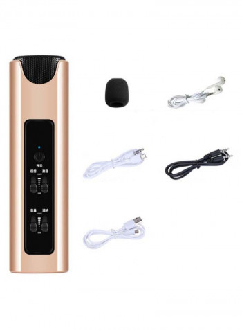 Fast Hand Live Singing Microphone Gold/Black