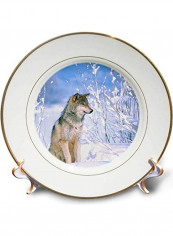 Wolf Sitting In The Snow Design Plate Silver 8inch