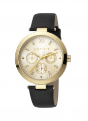 Women's Classic Analog Quartz Watch  ES.1L213L0015