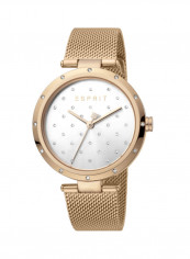 Women's Classic Analog Quartz Watch  ES.1L214M0075