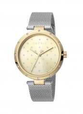 Women's Classic Analog Quartz Watch  ES.1L214M0085