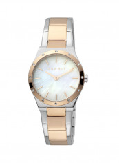 Women's Classic Analog Quartz Watch  ES.1L191M1045