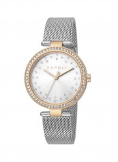 Women's Classic Analog Quartz Watch  ES.1L199M0075