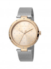 Women's Classic Analog Quartz Watch  ES.1L214M0095