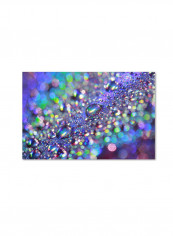 Colors Of Rainbow Artwork Canvas Wall Art Multicolour 22 x 32inch