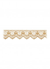 Venice Scallop Embroidery Champagne Gold reviews Venice Scallop Embroidery Champagne Gold