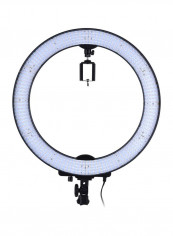 Photographic Studio Light 56x10.5x49.4centimeter White