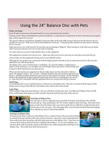 StabilityTrainer Balance Disc 26-Inch