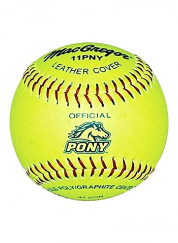 12-Piece Softballs