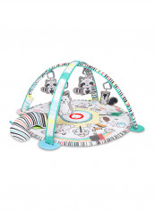 Paula Educational Baby Playgym reviews Paula Educational Baby Playgym