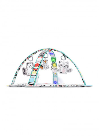 Paula Educational Baby Playgym