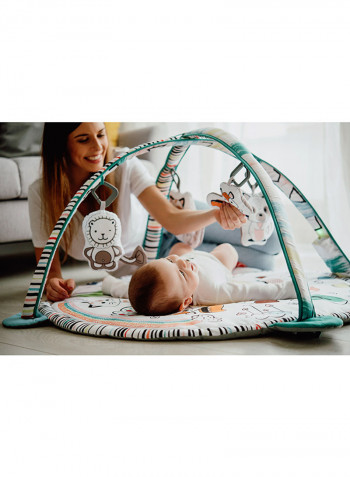 Paula Educational Baby Playgym